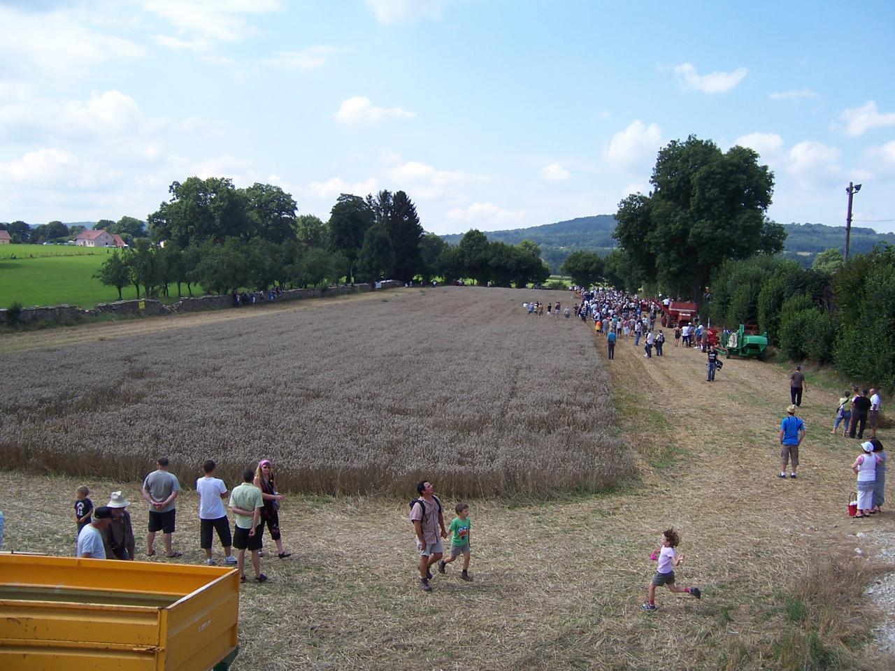 Le champ de moisson