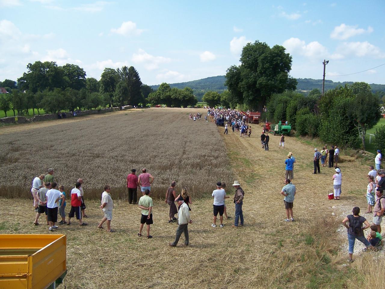 DUGRAINAUPAIN2012 007 (2)