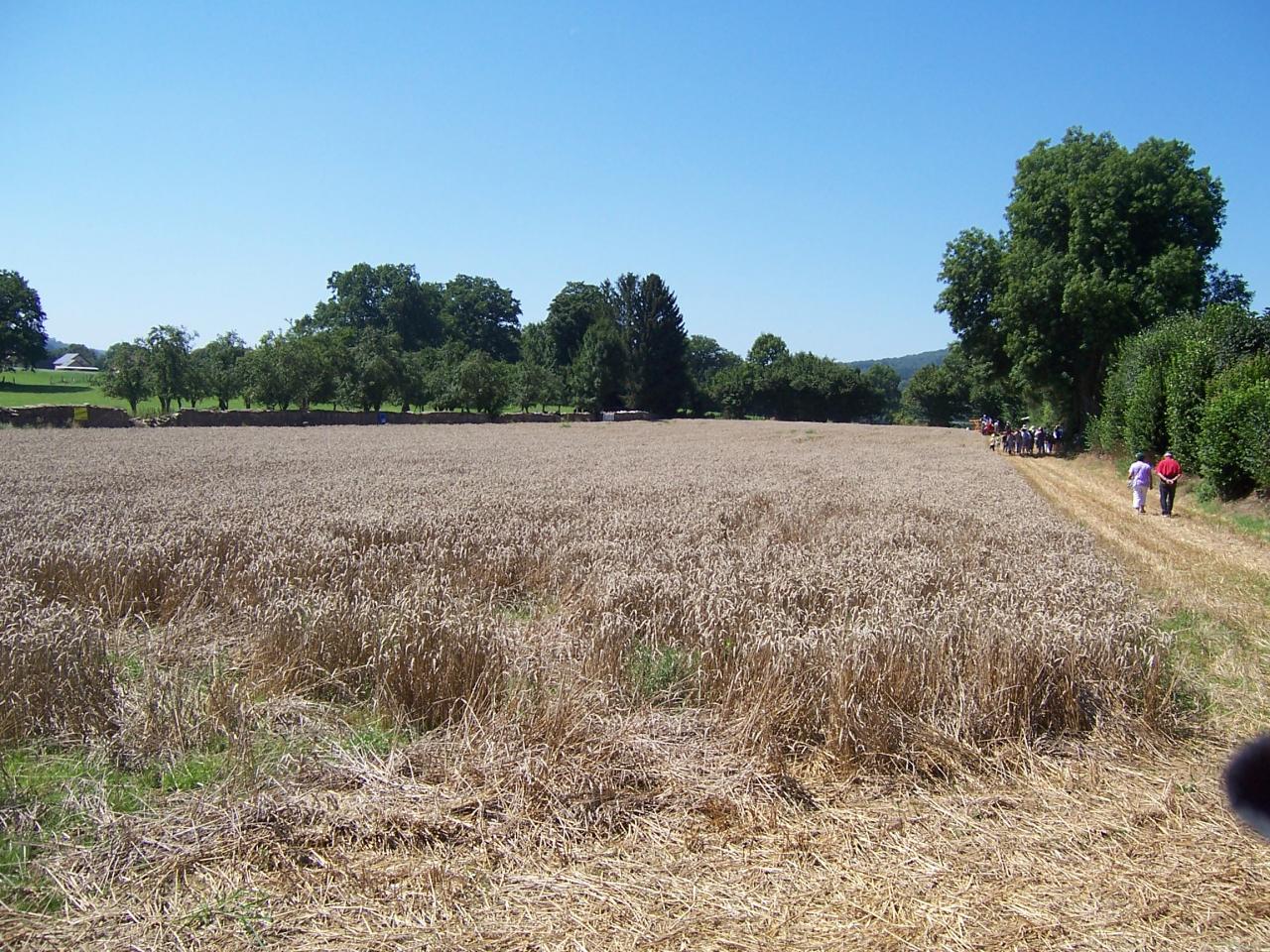 DUGRAINAUPAIN2012 056