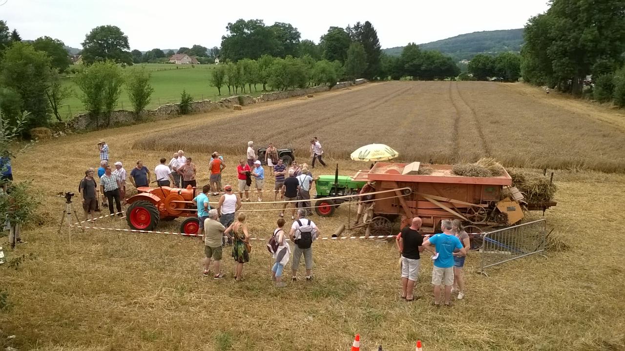 WP_20150808_028